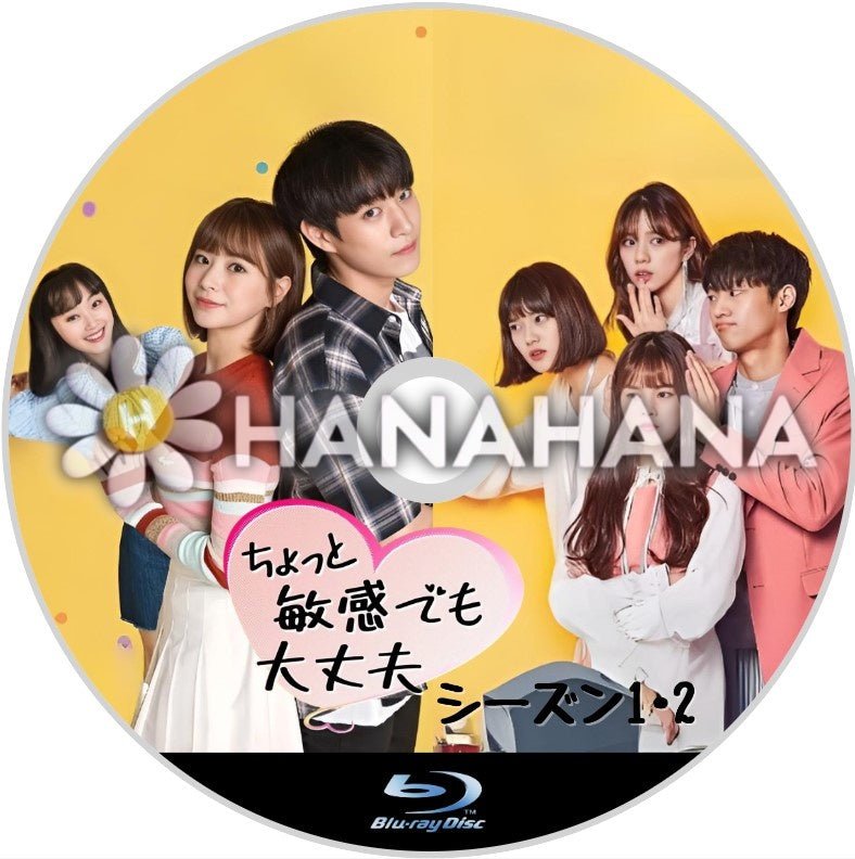 ちょっと敏感でも大丈夫 シーズン1・2 韓国ドラマ Blu-ray - hanahana