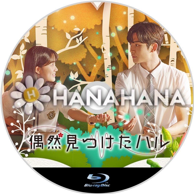 偶然見つけたハル 全32話 韓国ドラマ Blu-ray - hanahana