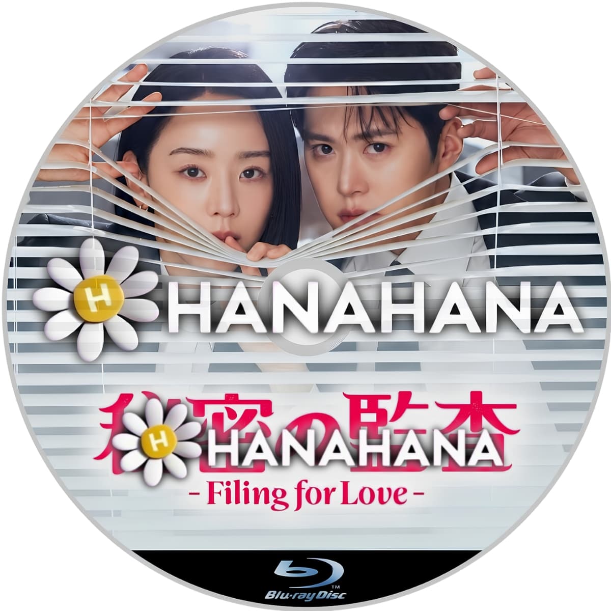 秘密の監査 -Filing for Love- ― hanahana
