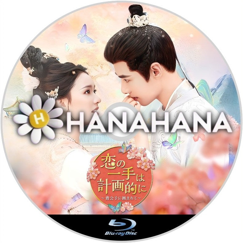 恋の一手は計画的に 〜貴公子に囲まれて〜 中国ドラマ Blu-ray ― hanahana