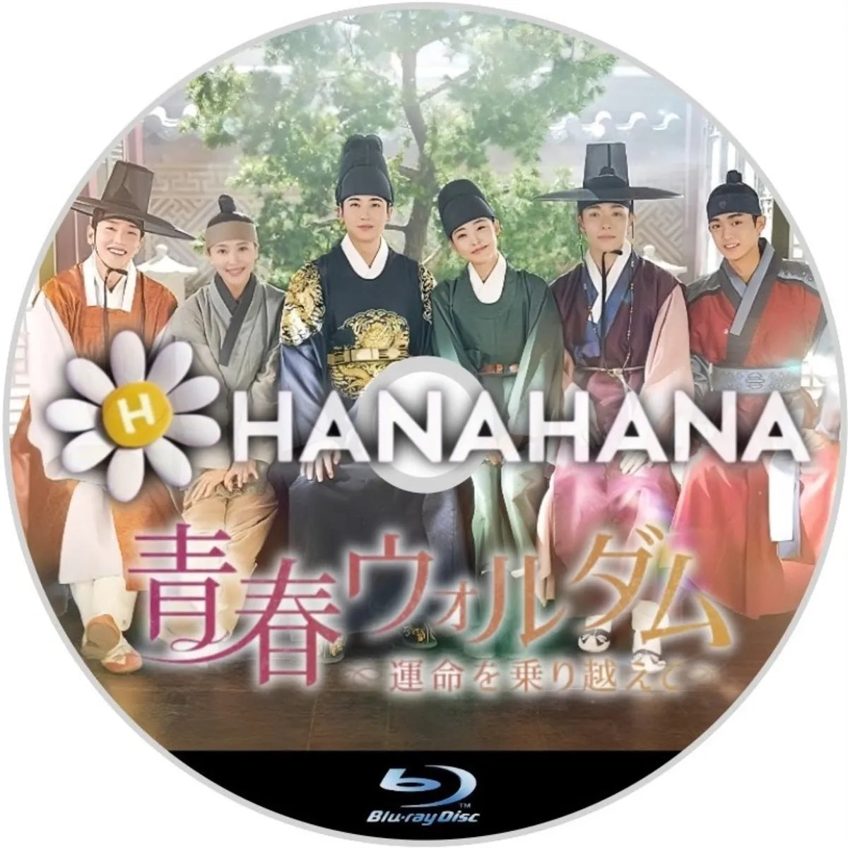 青春ウォルダム ~運命を乗り越えて~ 韓国ドラマ Blu-ray ― hanahana