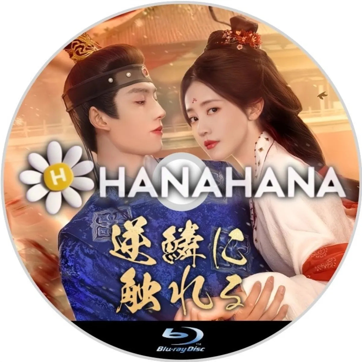 逆鱗に触れる 中国ドラマ Blu-ray ― hanahana