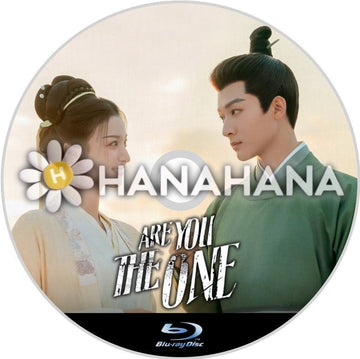 Are You The One(自動翻訳) 中国ドラマ Blu - ray - hanahana