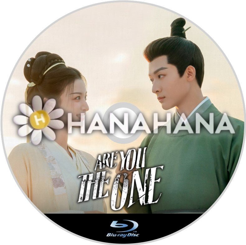 Are You The One(自動翻訳) 中国ドラマ Blu - ray - hanahana