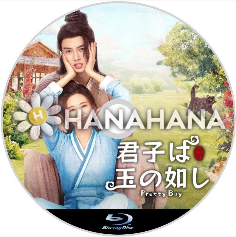 君子は玉の如し(自動翻訳) 中国ドラマ Blu - ray - hanahana