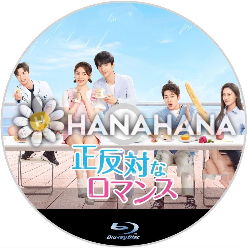 正反対なロマンス 中国ドラマ Blu-ray - hanahana
