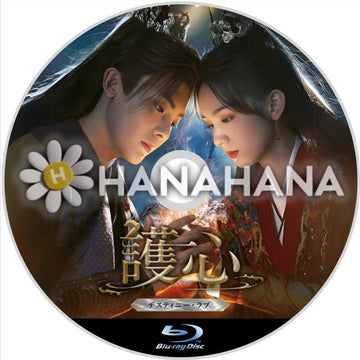 護心 ~デスティニー・ラブ~ 中国ドラマ Blu-ray - hanahana