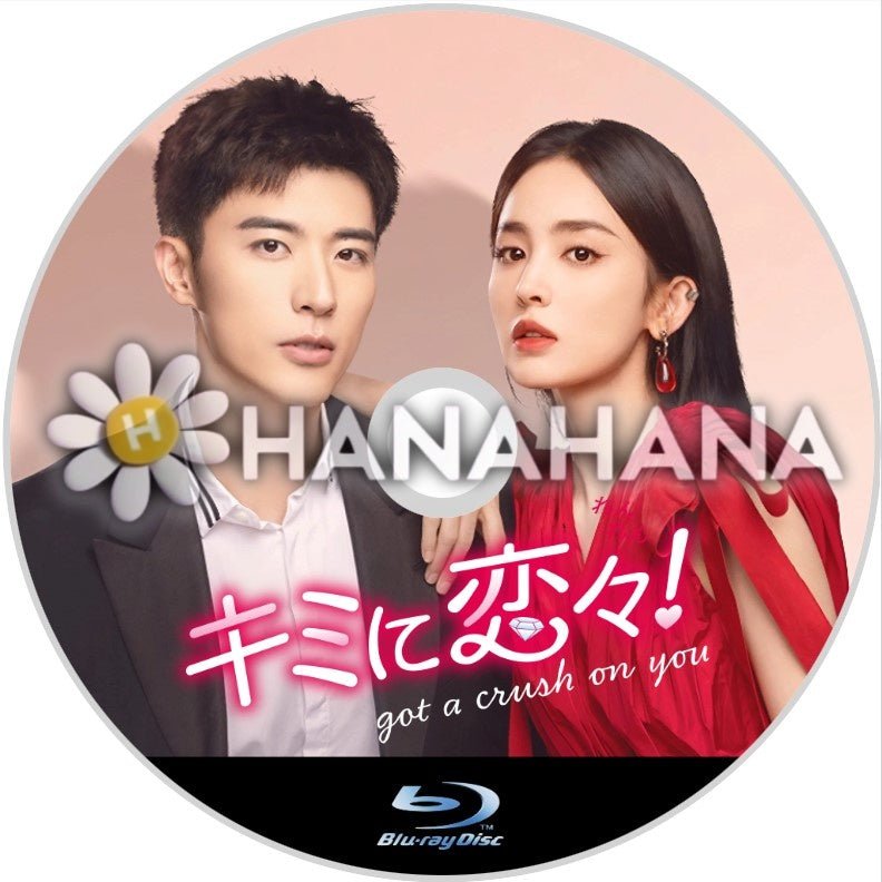 キミに恋々(れんれん)! 中国ドラマ Blu-ray - hanahana