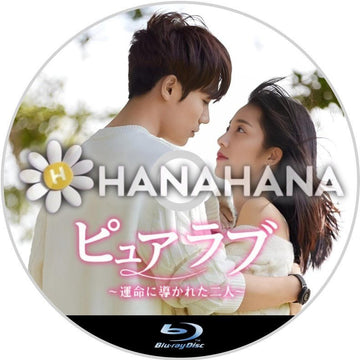 ピュア・ラブ 〜運命に導かれた二人〜 中国ドラマ Blu-ray - hanahana
