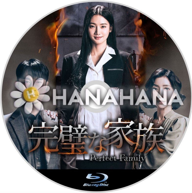 完璧な家族 韓国ドラマ Blu-ray - hanahana