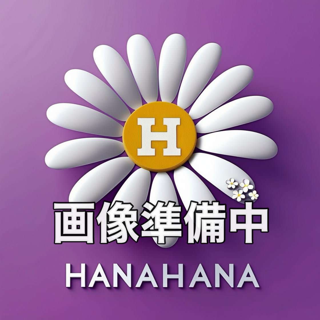 力の強い女 カン・ナムスン 韓国ドラマ Blu - ray - hanahana