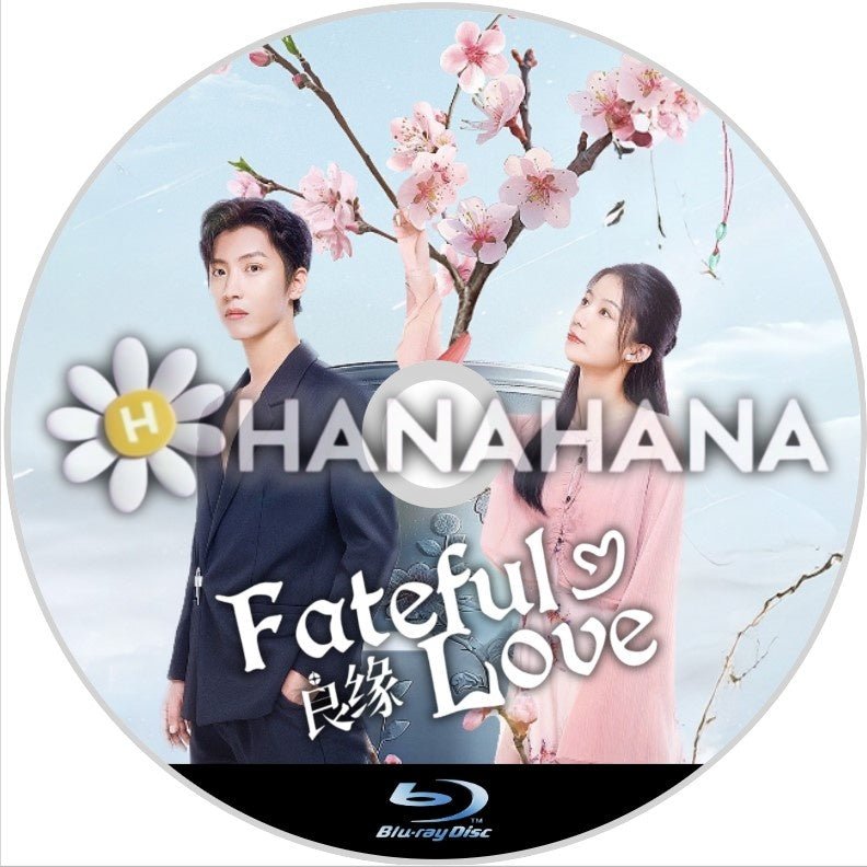 良縁 ~Fateful Love~(自動翻訳) 中国ドラマ Blu-ray - hanahana