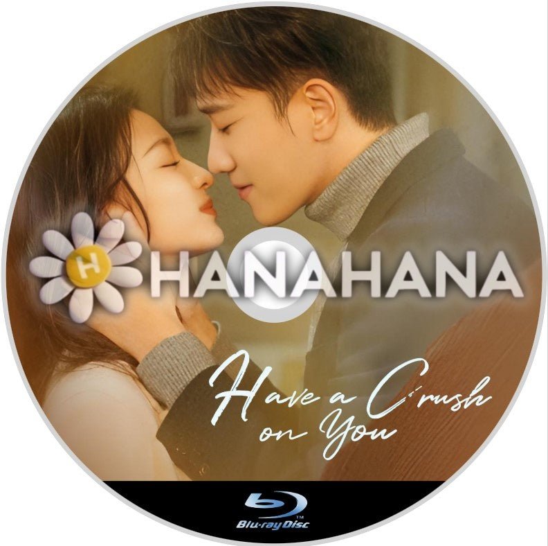 Have a Crush on You(自動翻訳) 中国ドラマ Blu - ray - hanahana