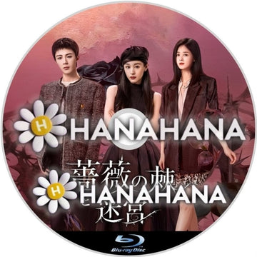 薔薇の棘と迷宮　―　hanahana