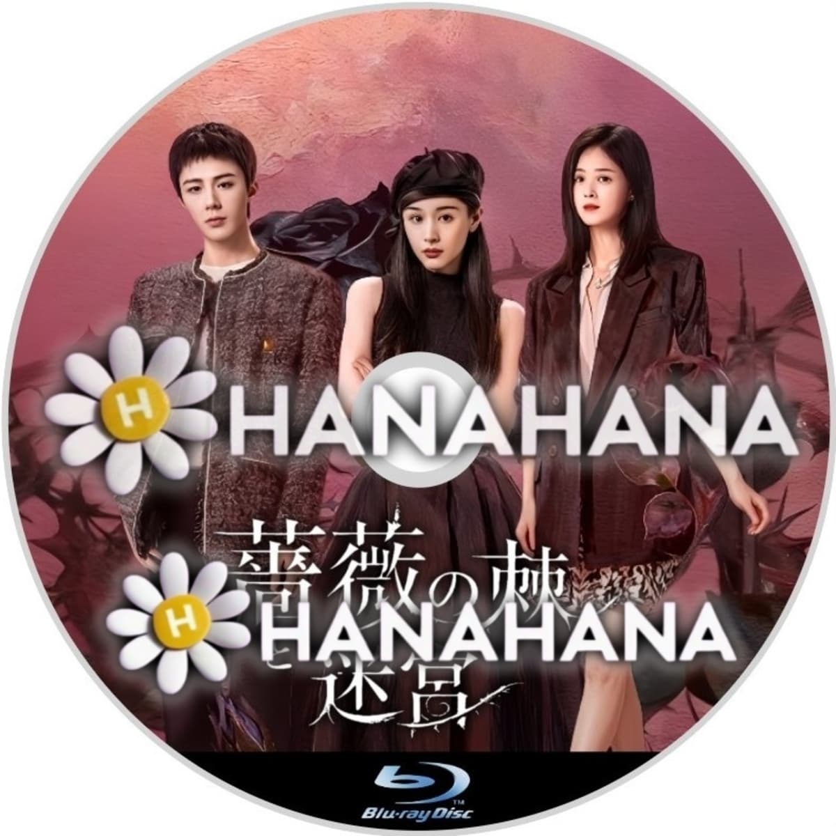 薔薇の棘と迷宮　―　hanahana