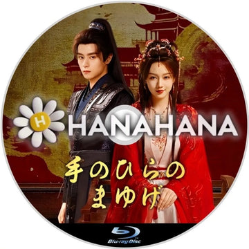 手のひらのまゆげ　中国ドラマ　Blu-ray　―　hanahana