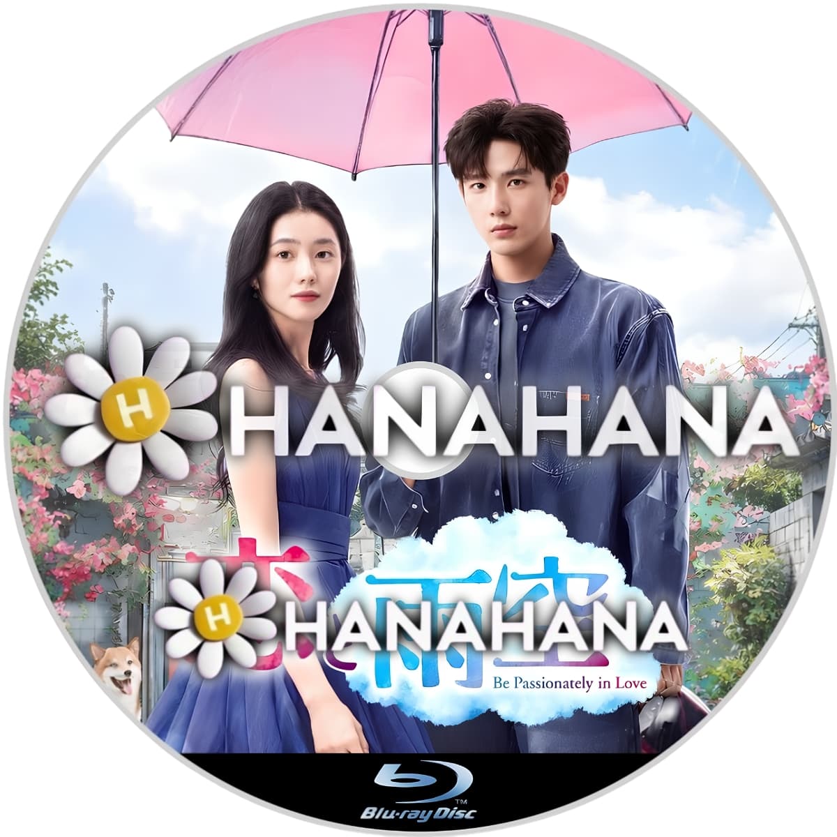 恋と雨空　中国ドラマ　Blu-ray