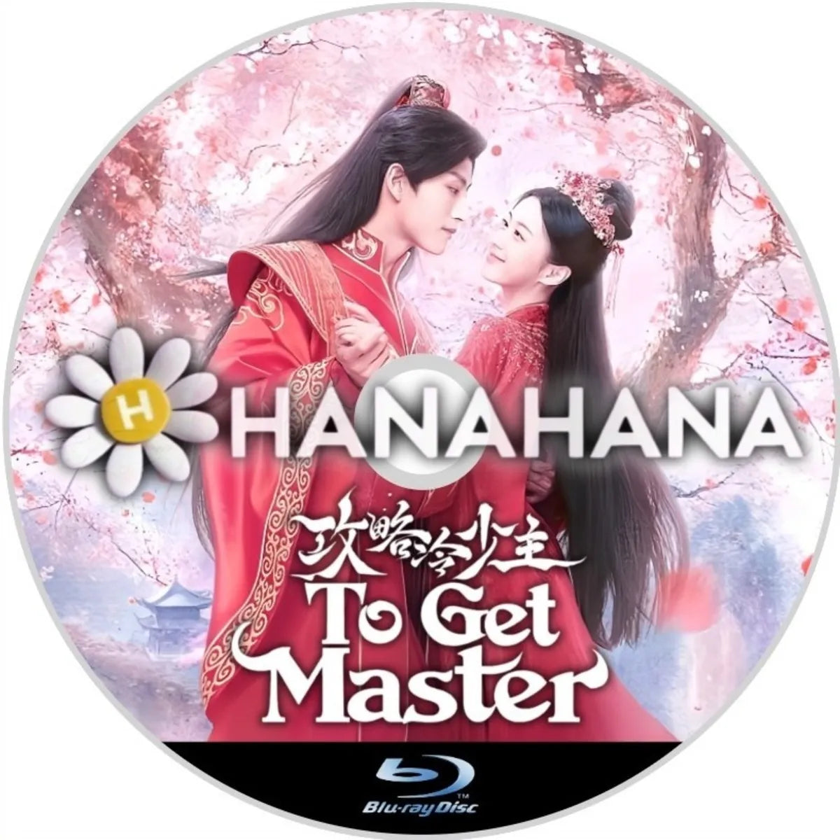 To Get Master　攻略冷少主（自動翻訳）　中国ドラマ　Blu-ray　―　hanahana