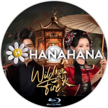 野火　Wild Fire（自動翻訳）　中国ドラマ　Blu-ray　―　hanahana