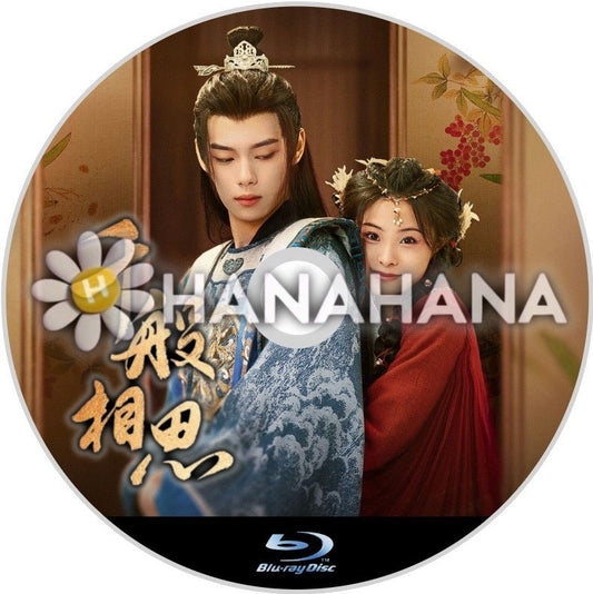 千般相思（自動翻訳）　中国ドラマ　Blu - ray - hanahana