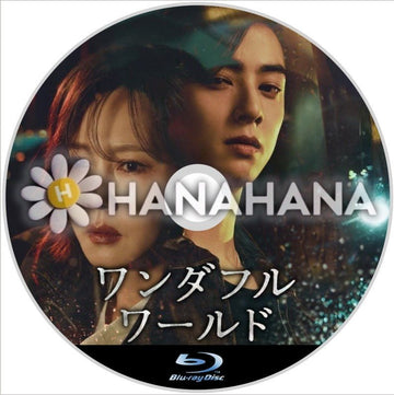 ワンダフルワールド　韓国ドラマ　Blu-ray - hanahana