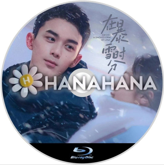 在暴雪時分（自動翻訳）　中国ドラマ　Blu - ray - hanahana