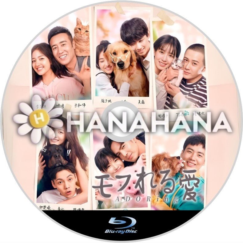 モフれる愛（映画）　中国ドラマ　Blu-ray - hanahana