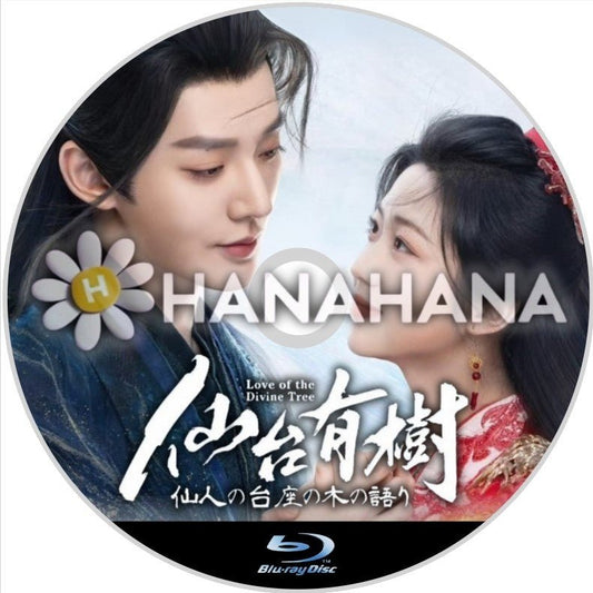 仙台有樹 ～仙人の台座の木の語り～（自動翻訳）　中国ドラマ　Blu - ray - hanahana