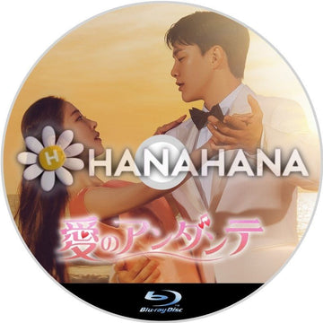 愛のアンダンテ　韓国ドラマ　Blu-ray - hanahana