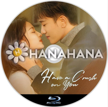 Have a Crush on You（自動翻訳）　中国ドラマ　Blu - ray - hanahana
