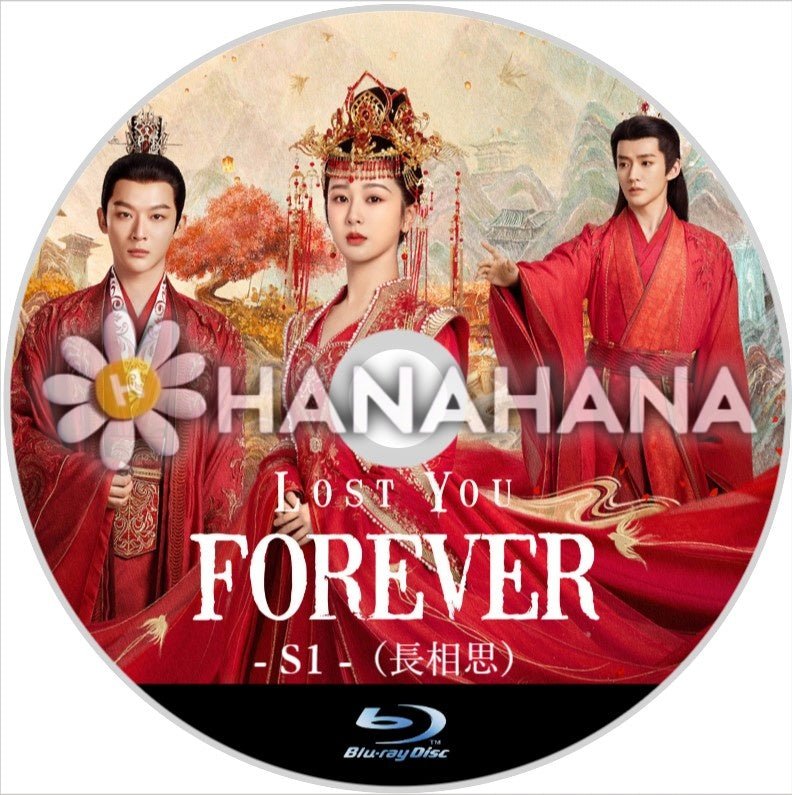 Lost You Forever - S1 - （長相思1）　中国ドラマ　Blu - ray - hanahana